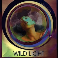 Adult Nights (2009) – Wild Light