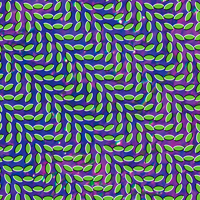 Merriweather Post Pavilion (2009) – Animal Collective