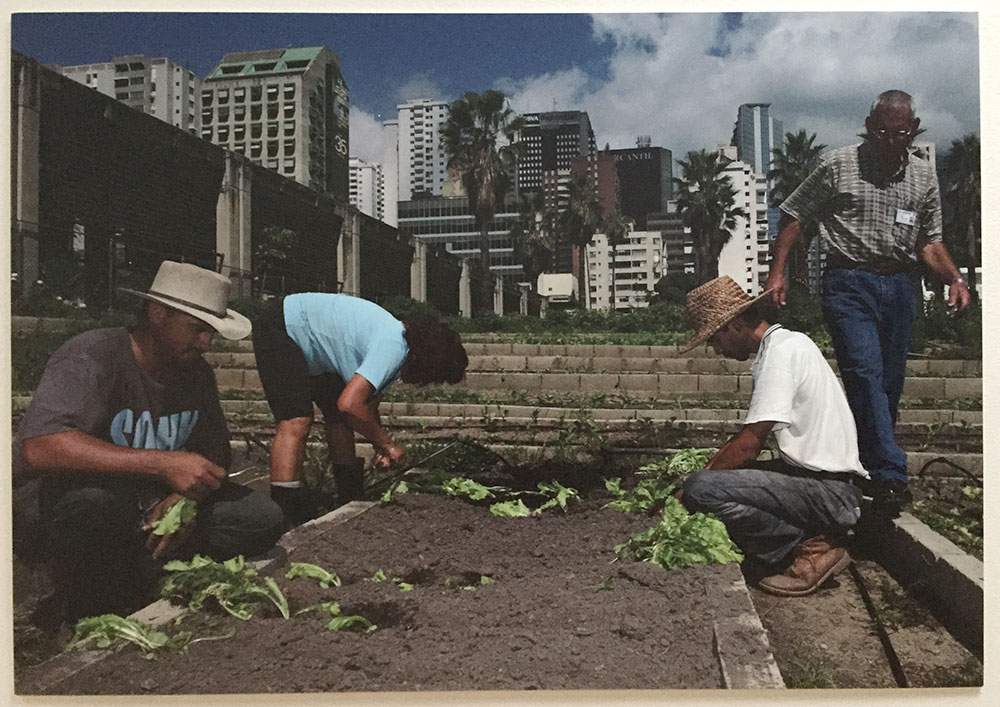 Caracas, Familia, II