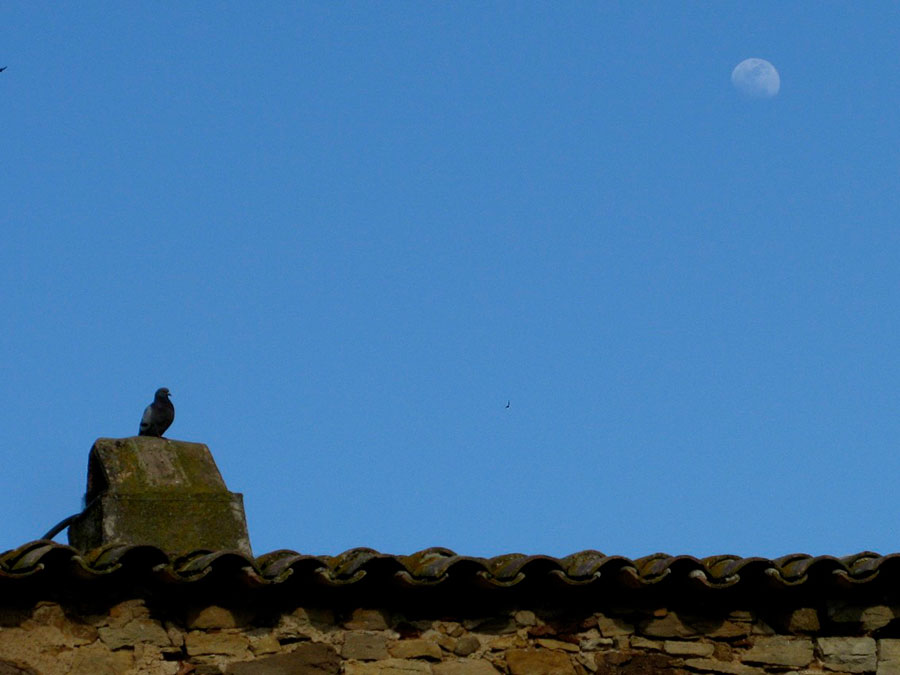 Ángeles guardianes